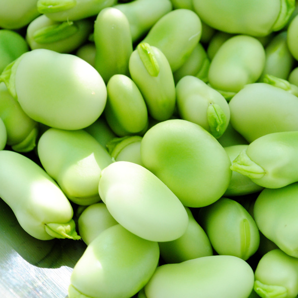 beans in Egypt